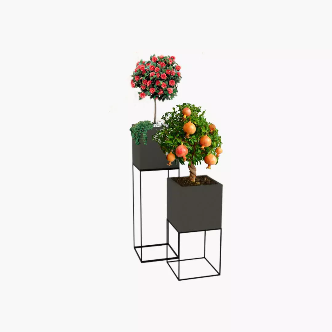 Flower-pot planter with two trees 3D model_0