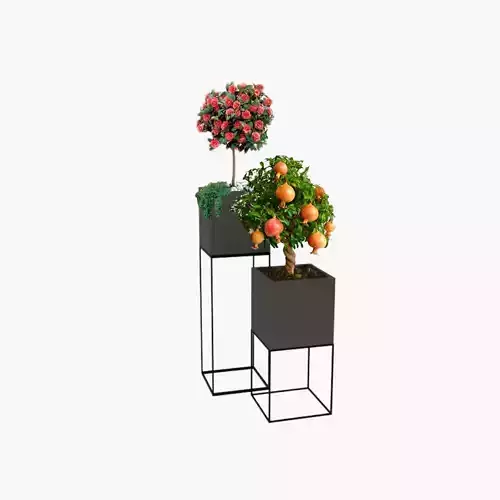 Flower-pot planter with two trees