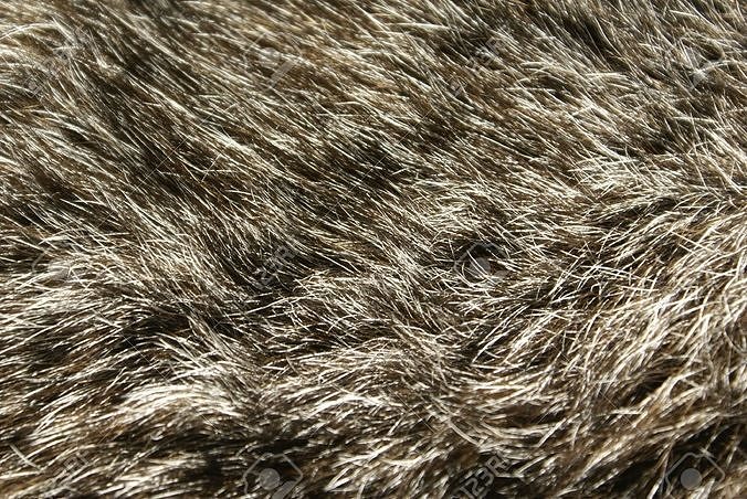 Brown Rug with Fur Free 3D print model