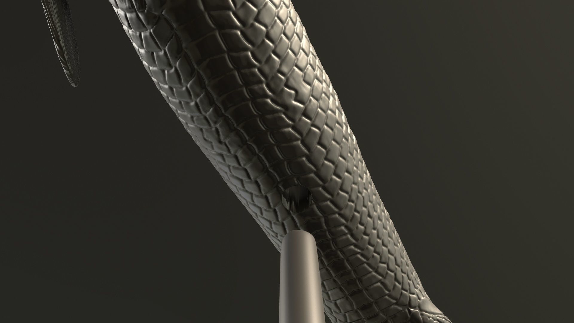 Gyroptychius fish 3D print model_6