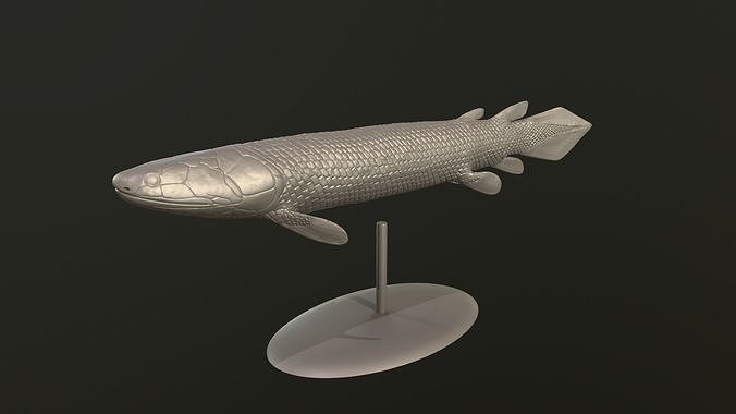 Gyroptychius fish 3D print model