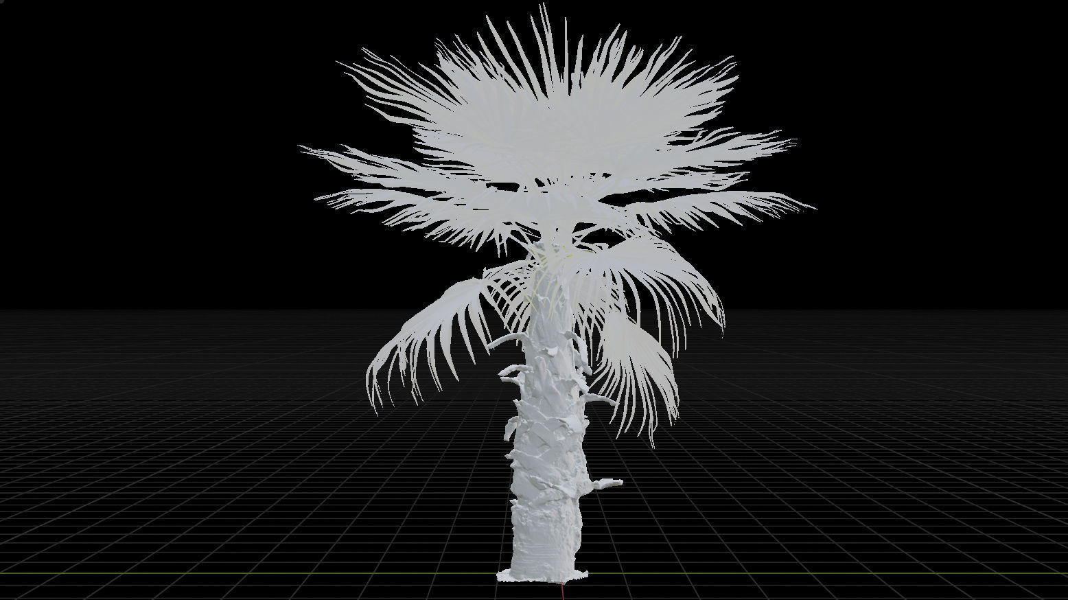 Palm tree 4 - photoscan Low-poly 3D model_5