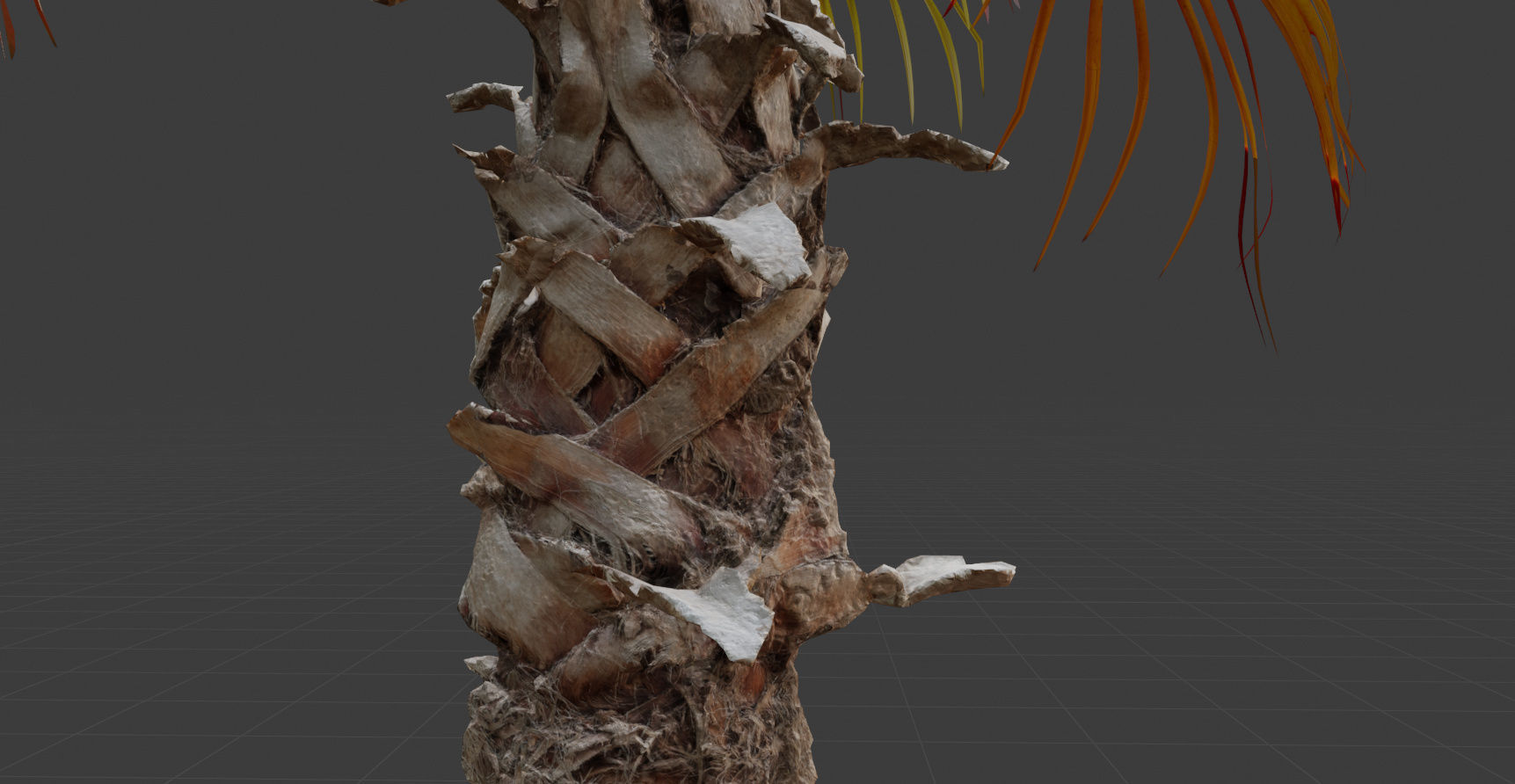 Palm tree 4 - photoscan Low-poly 3D model_9