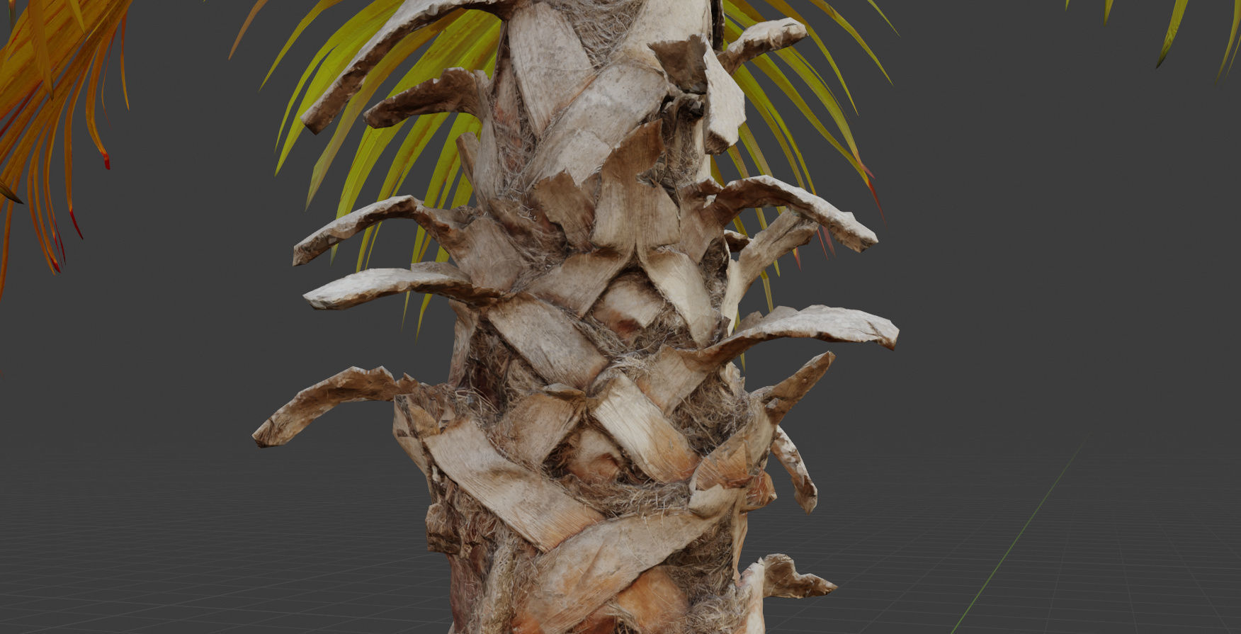 Palm tree 4 - photoscan Low-poly 3D model_10