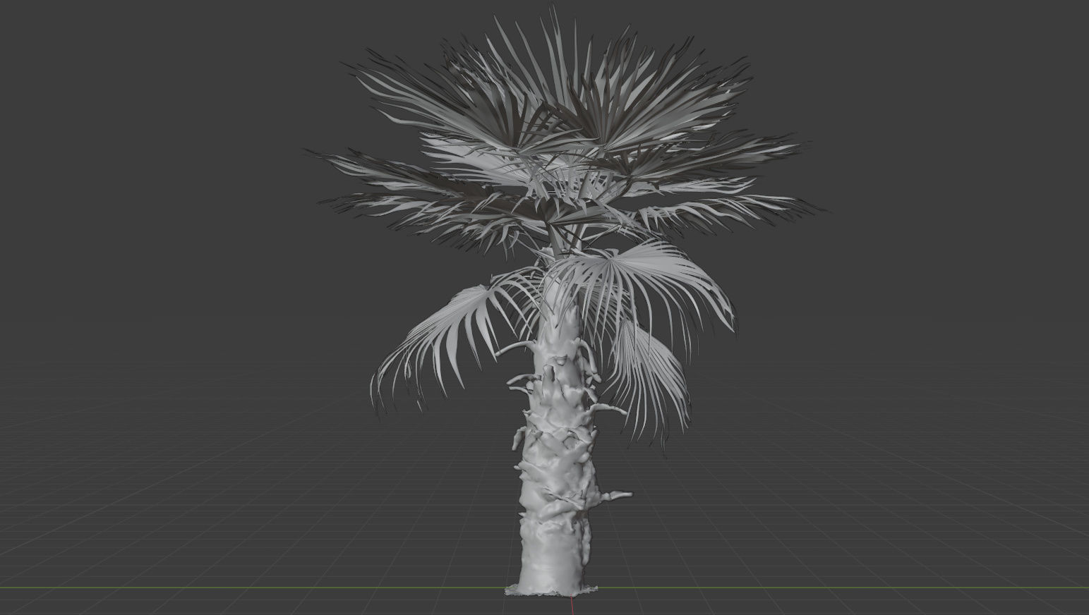 Palm tree 4 - photoscan Low-poly 3D model_3