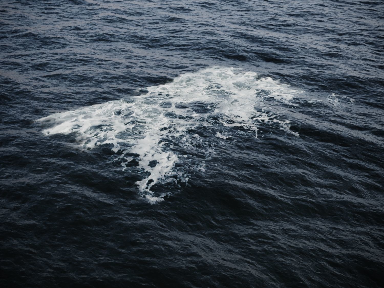 Ocean Water Foam Decals Vray and Corona  Texture_9