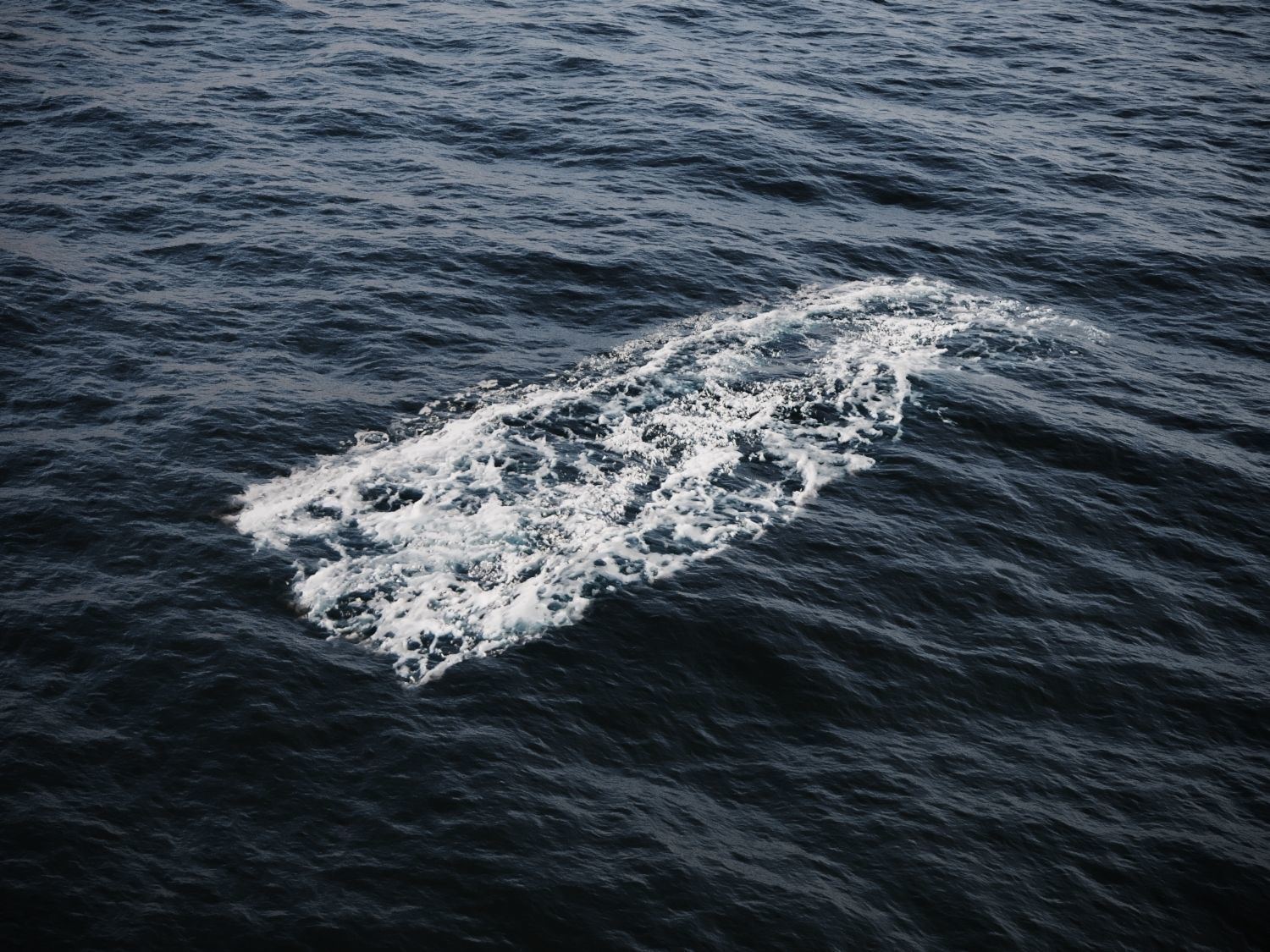Ocean Water Foam Decals Vray and Corona  Texture_7