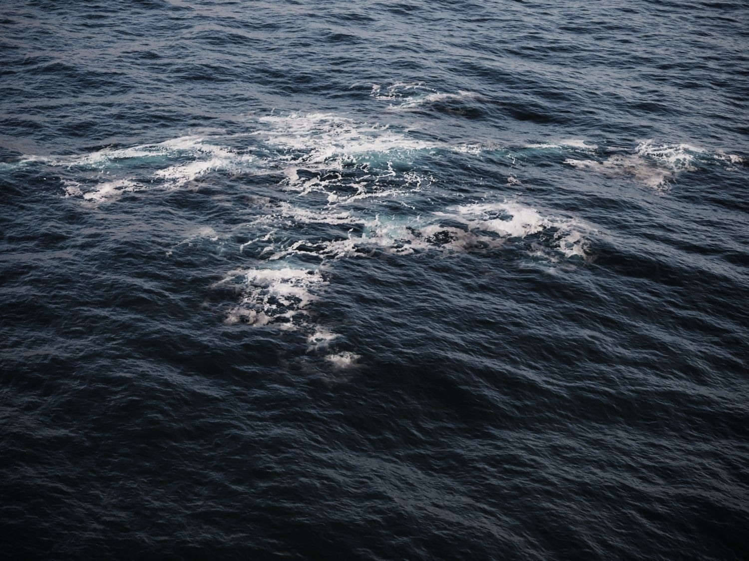 Ocean Water Foam Decals Vray and Corona  Texture_1
