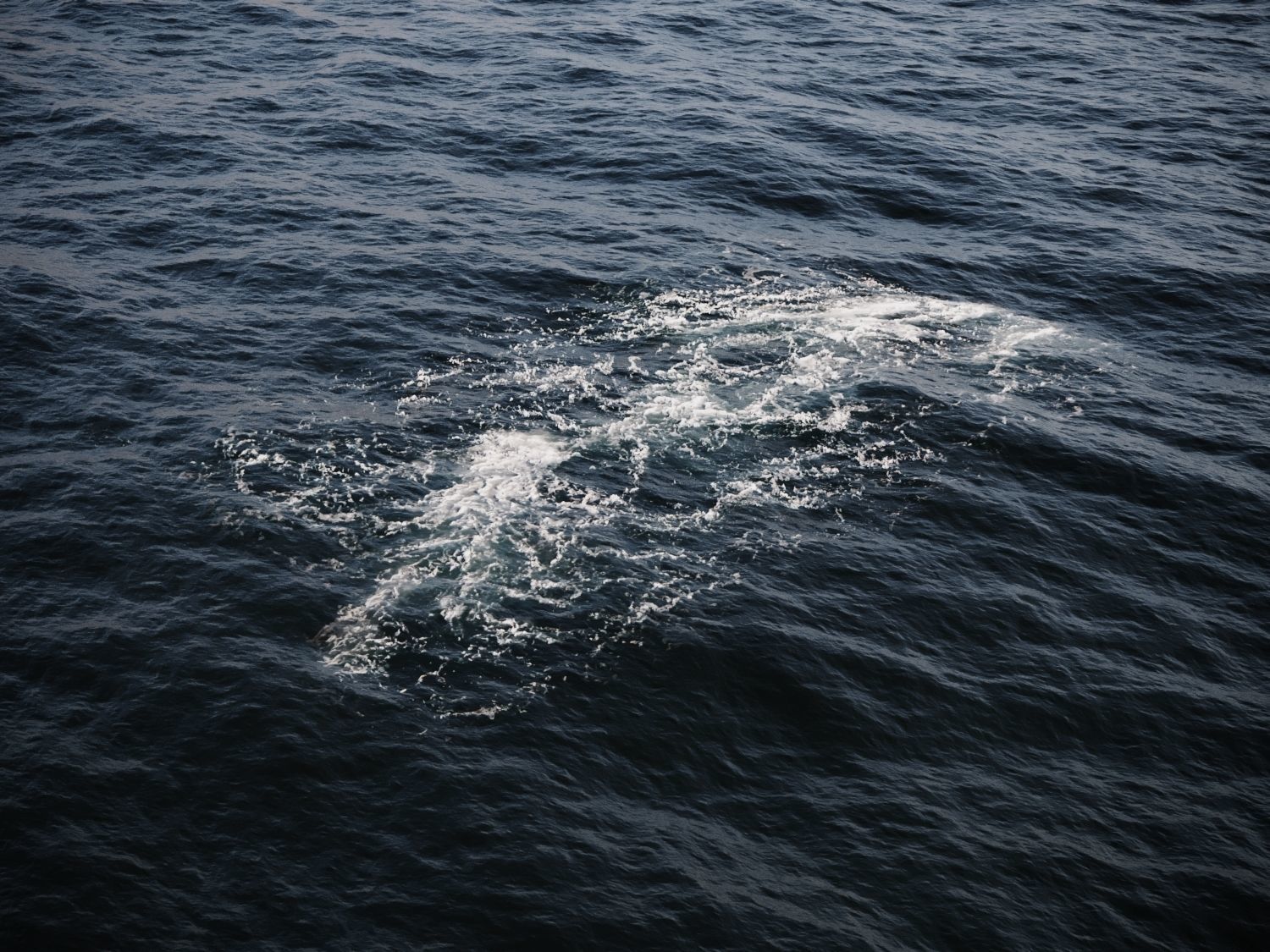Ocean Water Foam Decals Vray and Corona  Texture_4