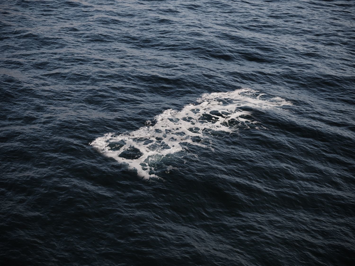 Ocean Water Foam Decals Vray and Corona  Texture_2
