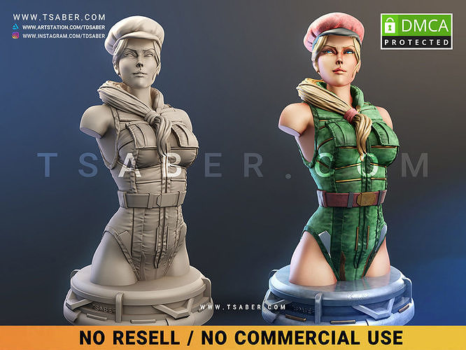 Super Soldier Cammy Bust 3D print model