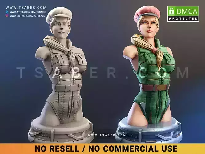 Super Soldier Cammy Bust 3D print model