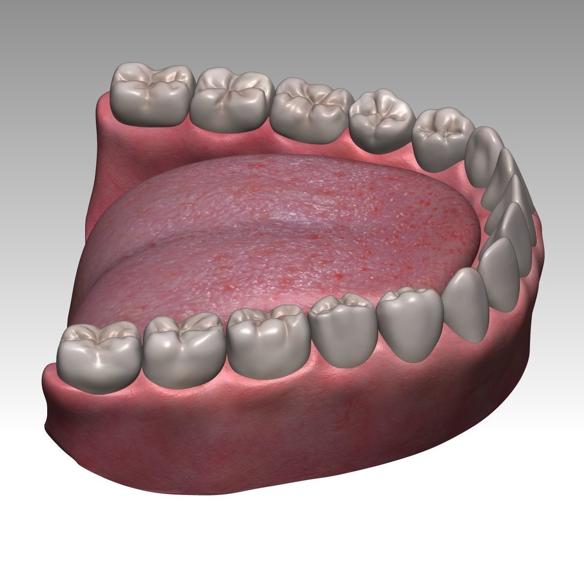  Karina Female Model zbrush Low-poly 3D model_30