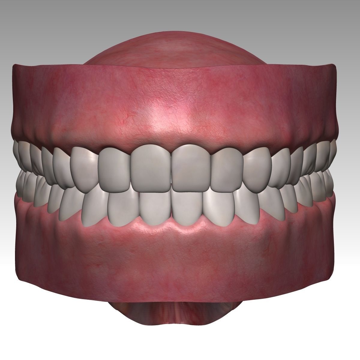  Karina Female Model zbrush Low-poly 3D model_24