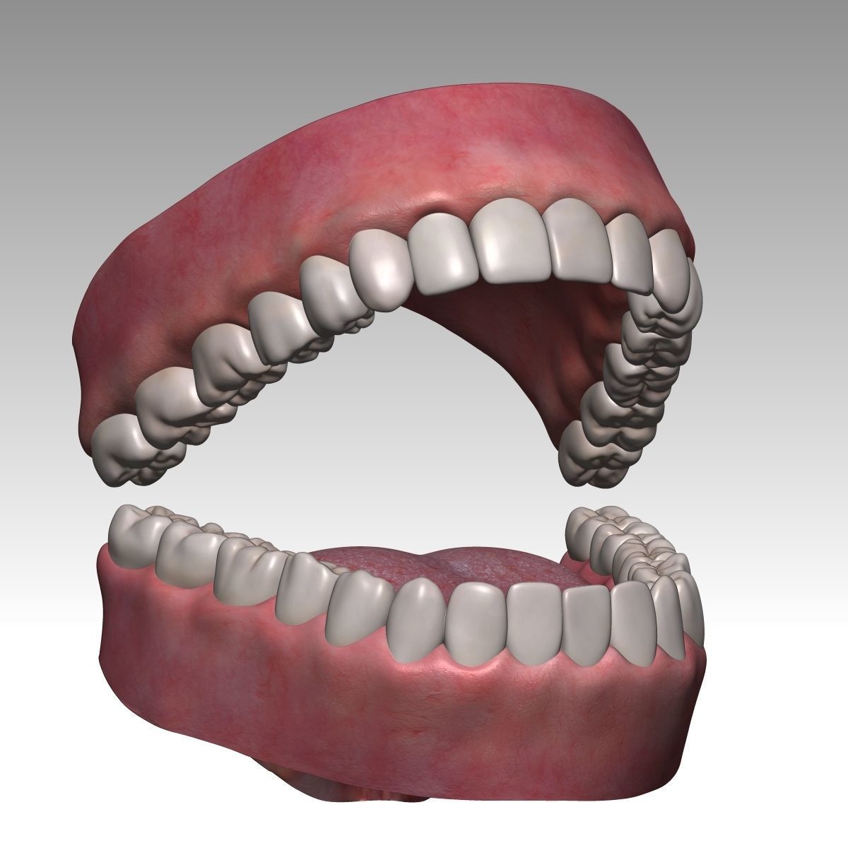  Karina Female Model zbrush Low-poly 3D model_26