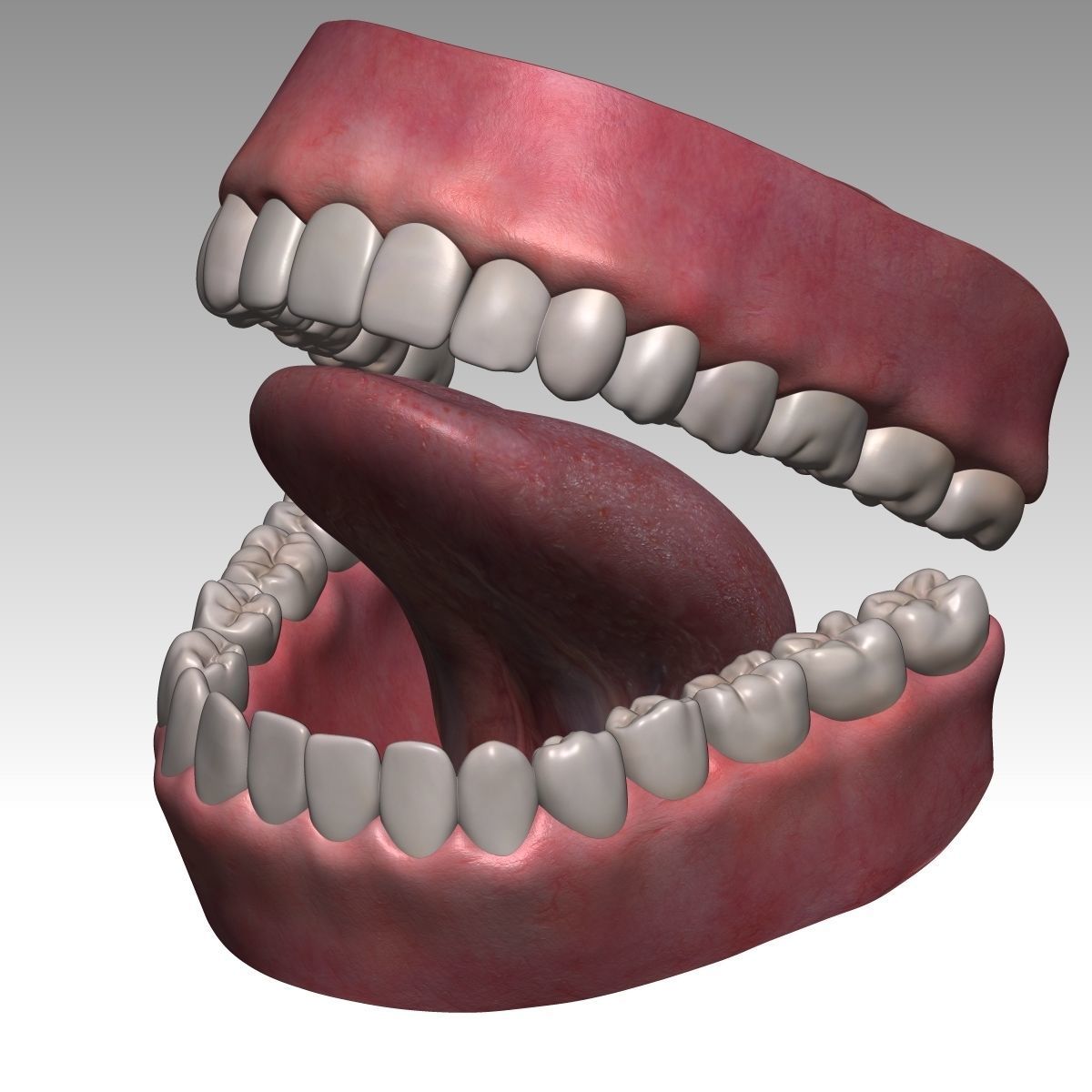  Karina Female Model zbrush Low-poly 3D model_37