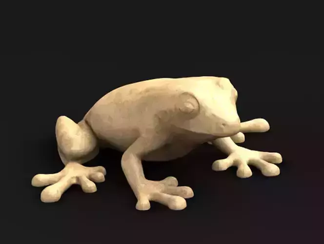 Frog Decorative Printable