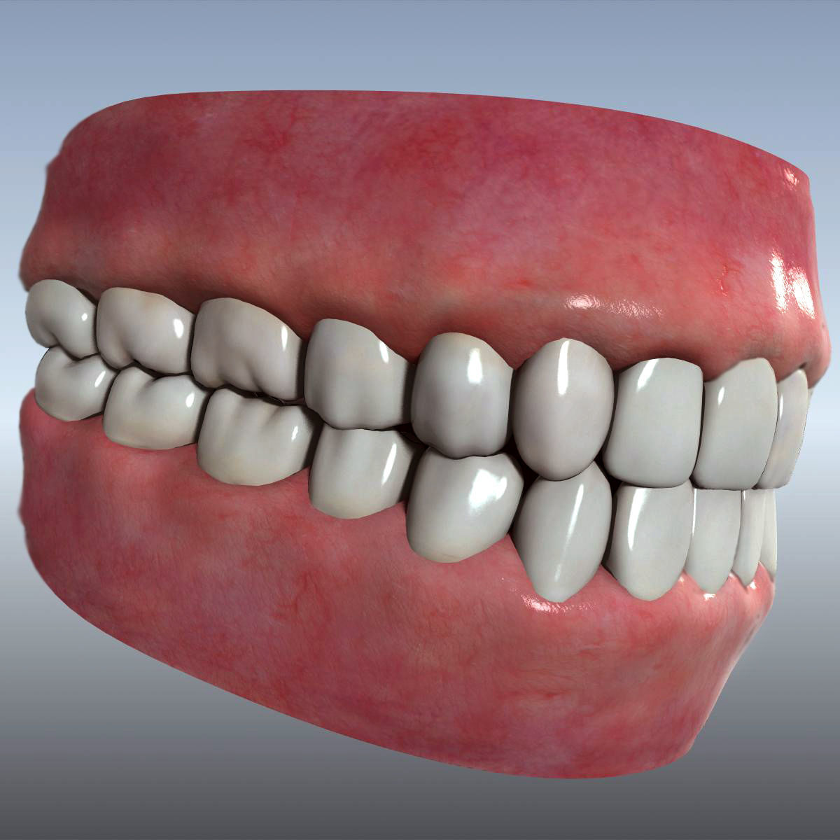 Mouth Teeth Tongue Low-poly 3D model_2