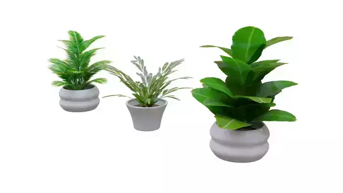 Interior plants pack 2 - 3 models