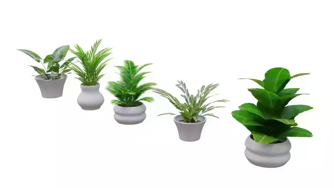 Interior plants pack 3 - 5 models