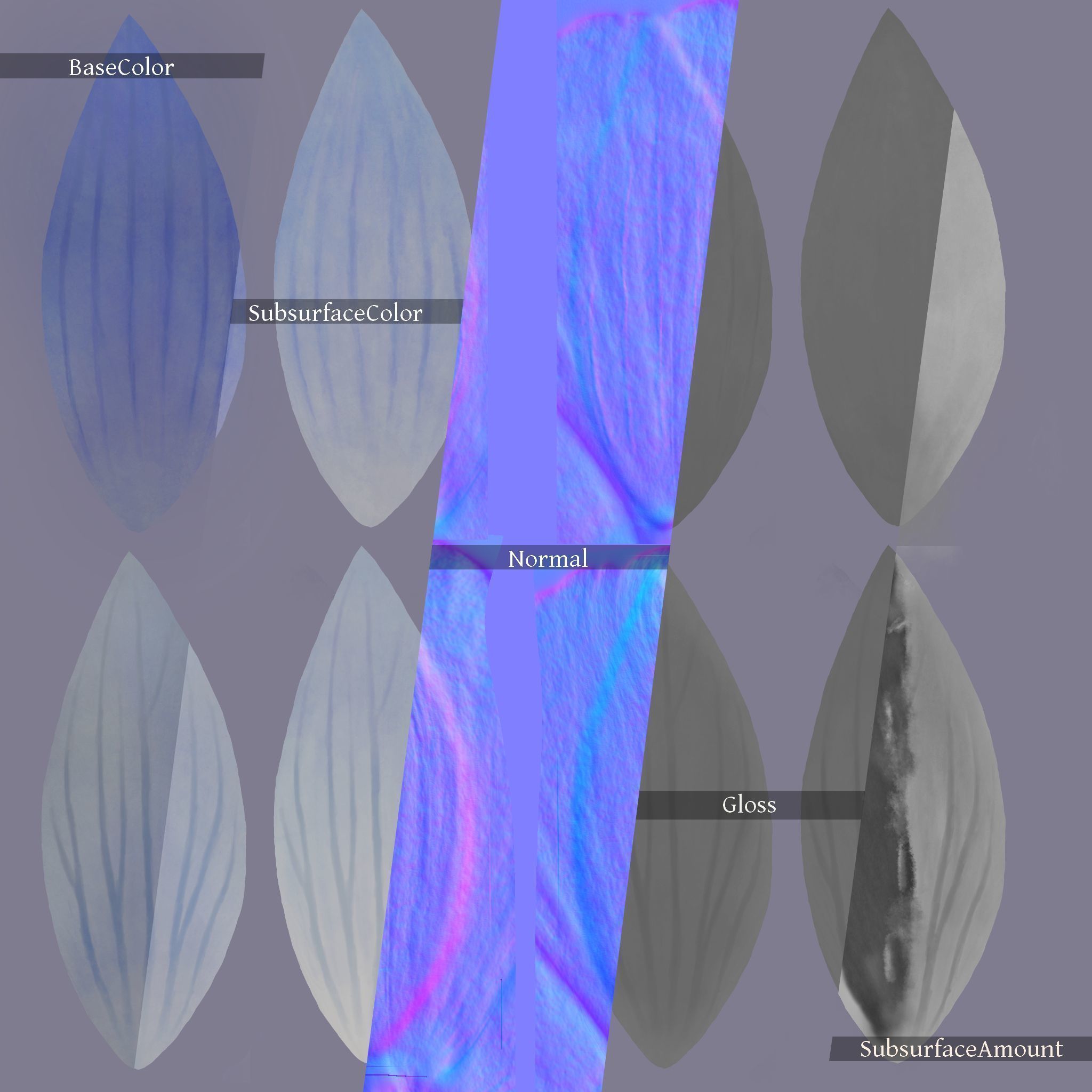 Lomatogonium Collection vol02  3D model_13