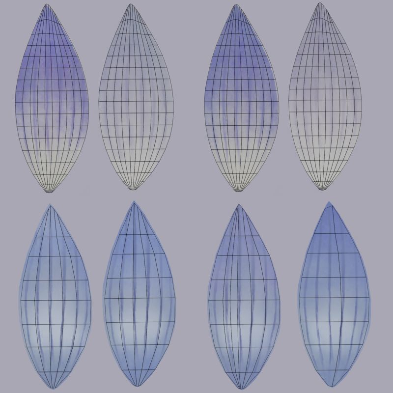 Lomatogonium Collection vol02  3D model_15