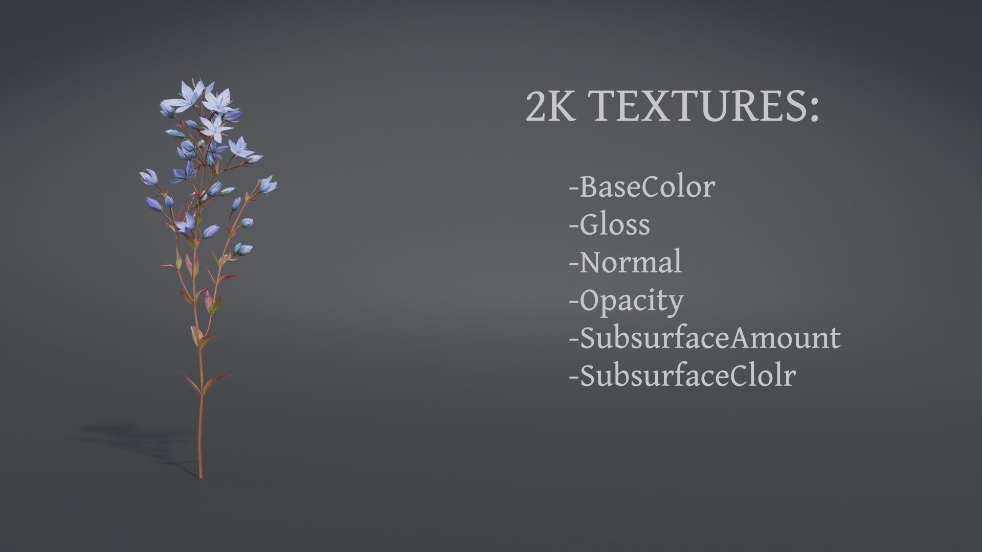 Lomatogonium Collection vol02  3D model_12