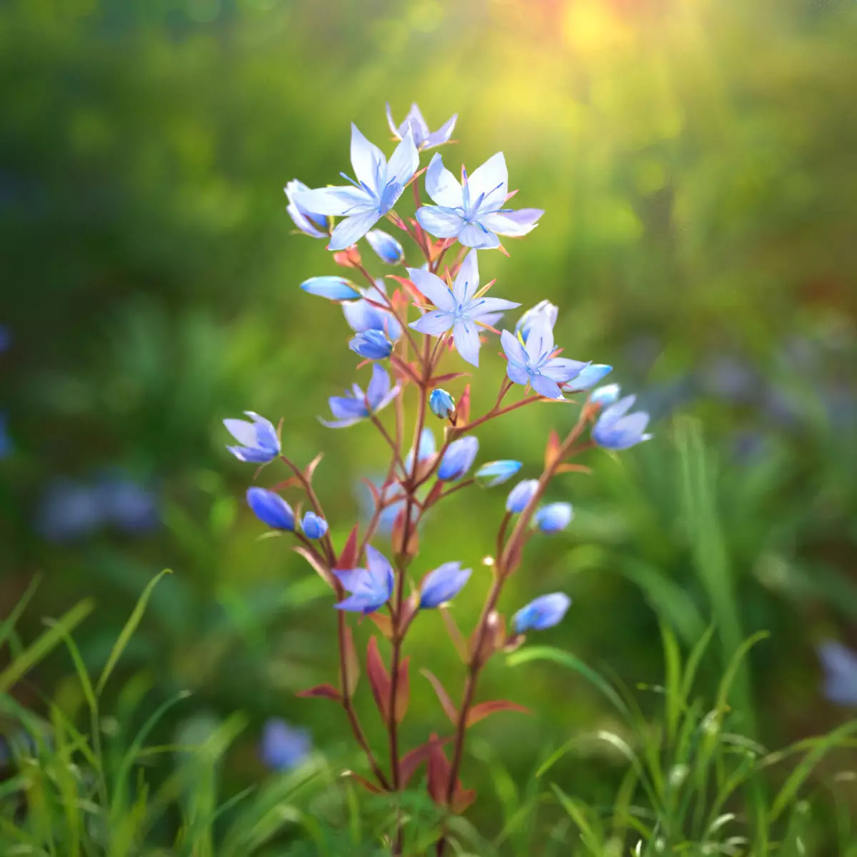 Lomatogonium Collection vol02  3D model_0