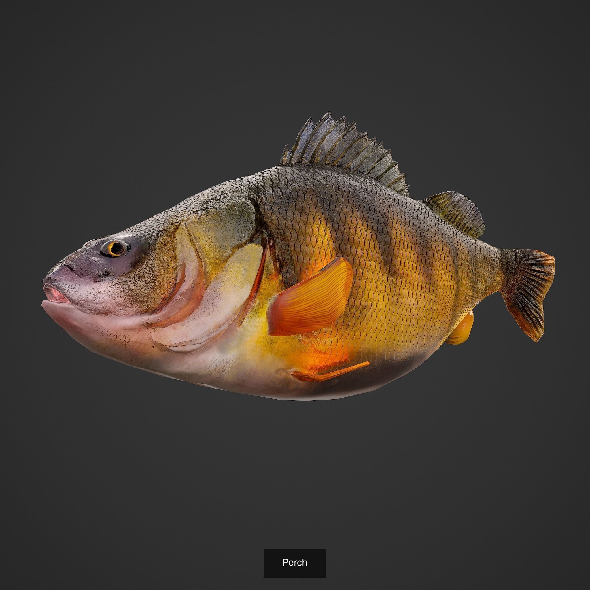 6 Medieval Food Props 3D Model Collection_26