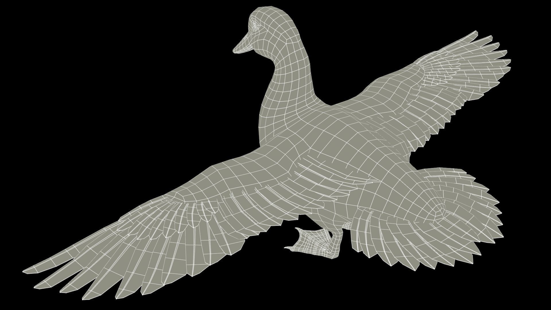 Mallard Duck Female Low-poly 3D model_16