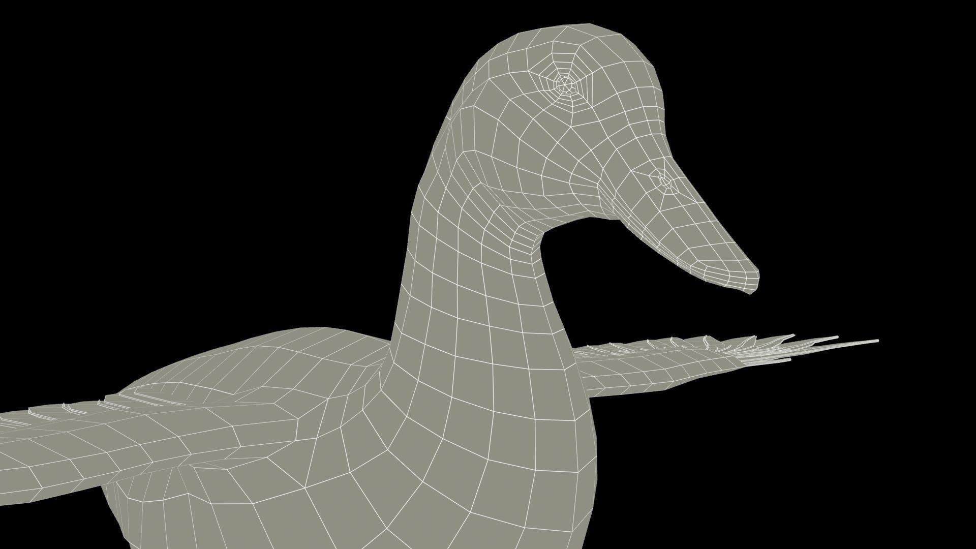 Mallard Duck Low-poly 3D model_17