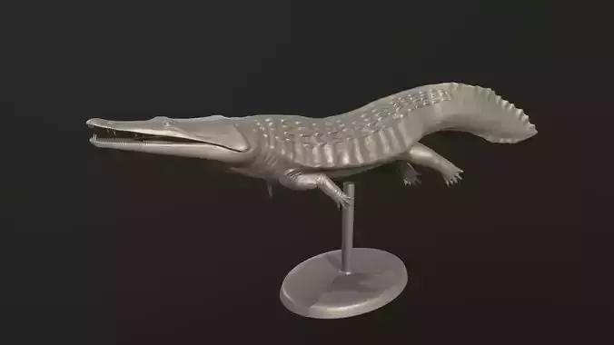 Trematosaurus alligator