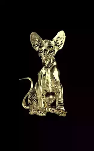 Sphynx gold cat