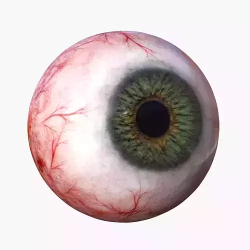 Just an eye Low-poly 3D model