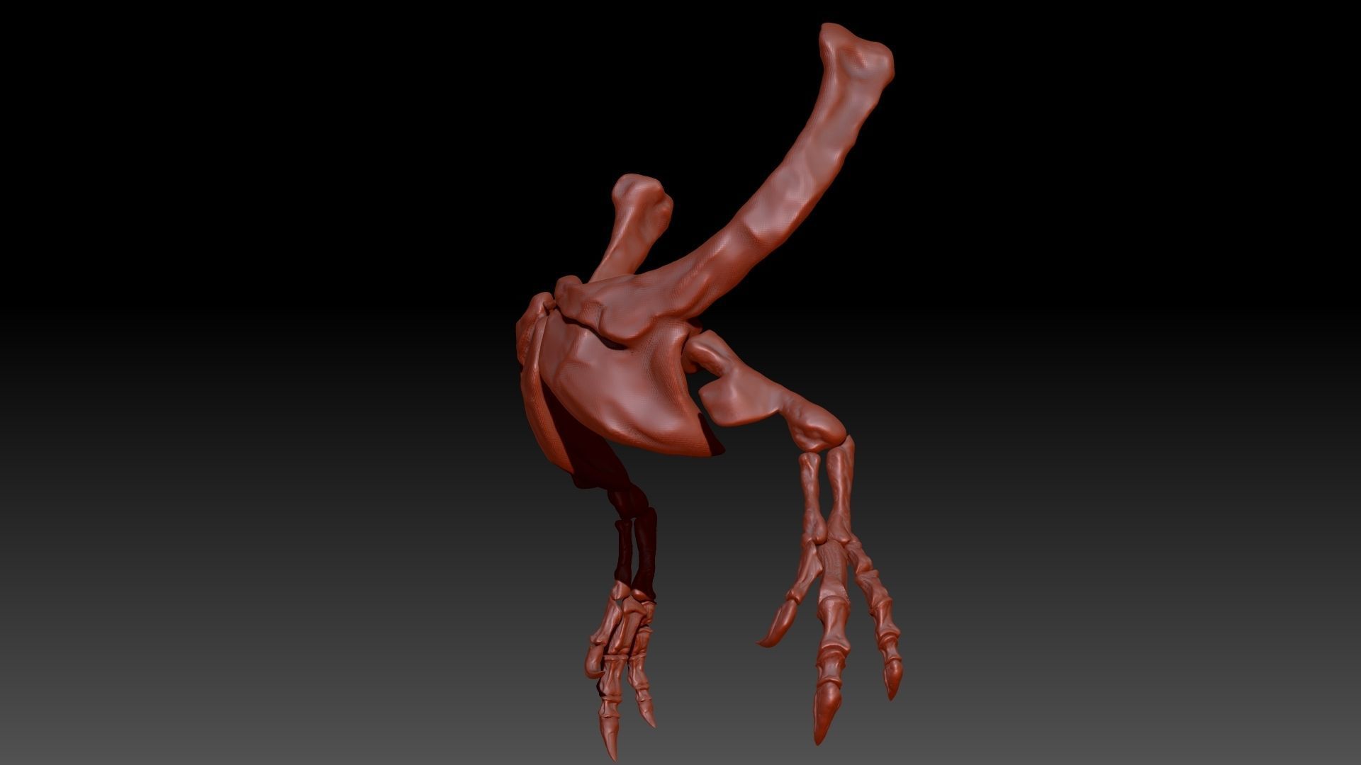 Dinosaur Giganotosaurus Arm Set 3D model_3