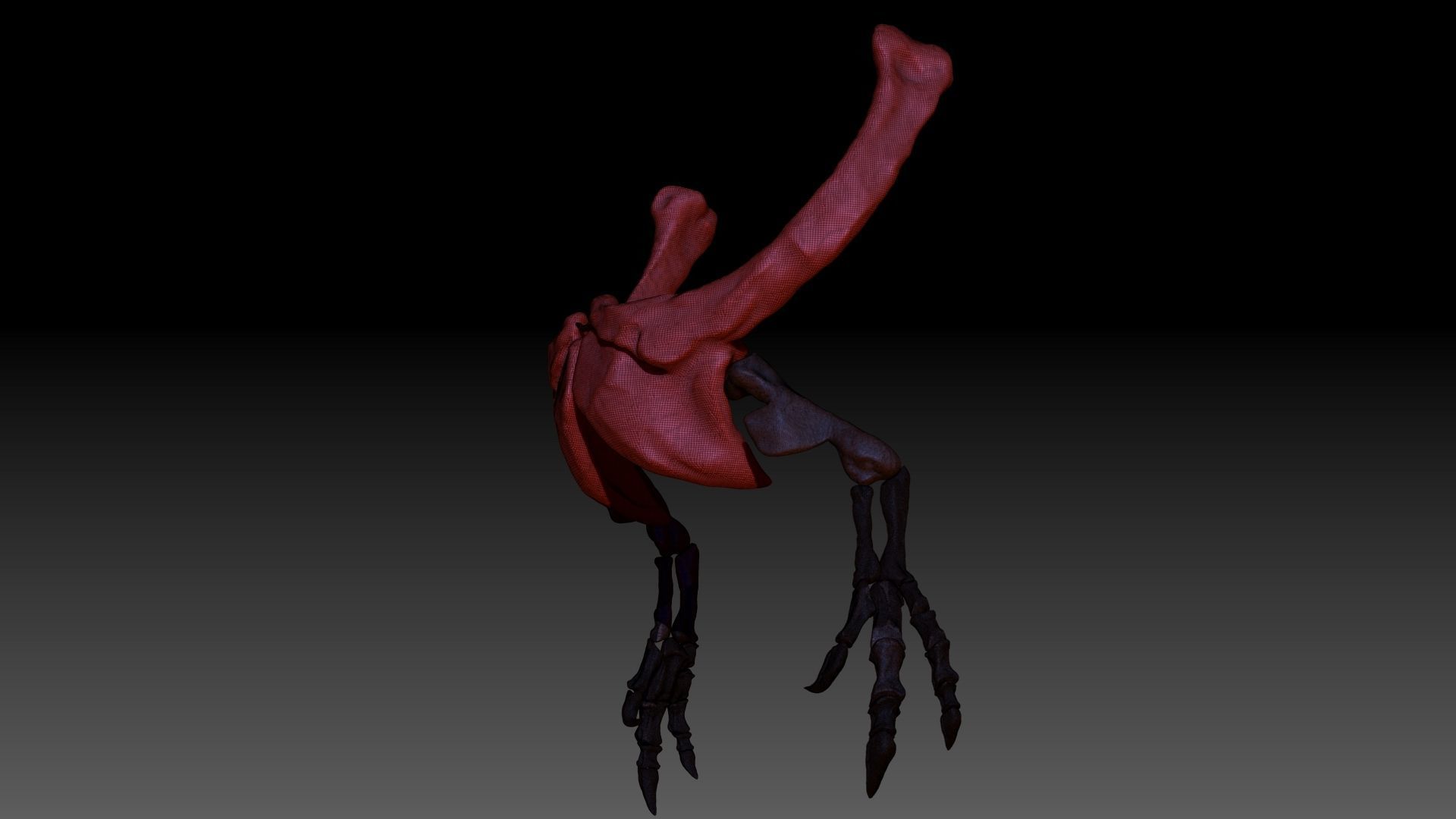 Dinosaur Giganotosaurus Arm Set 3D model_4