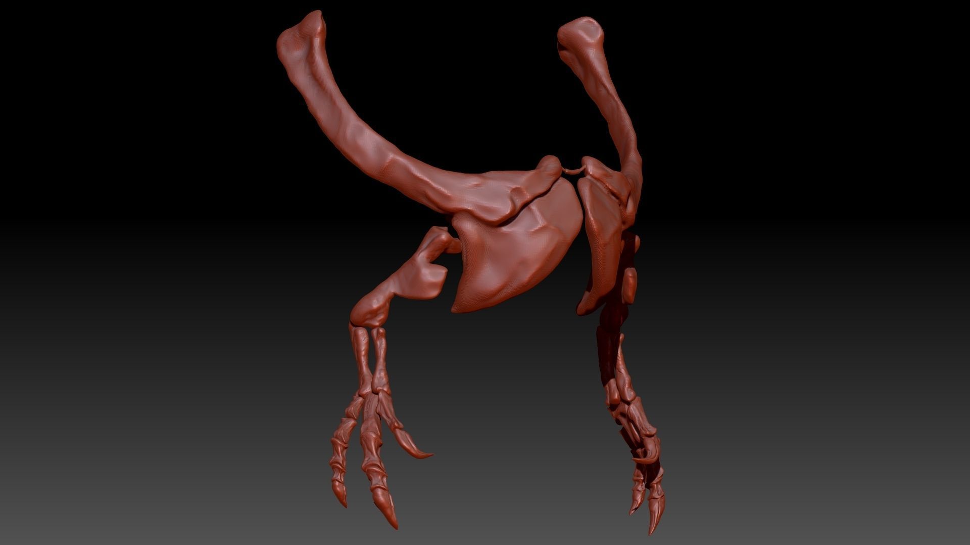 Dinosaur Giganotosaurus Arm Set 3D model_1