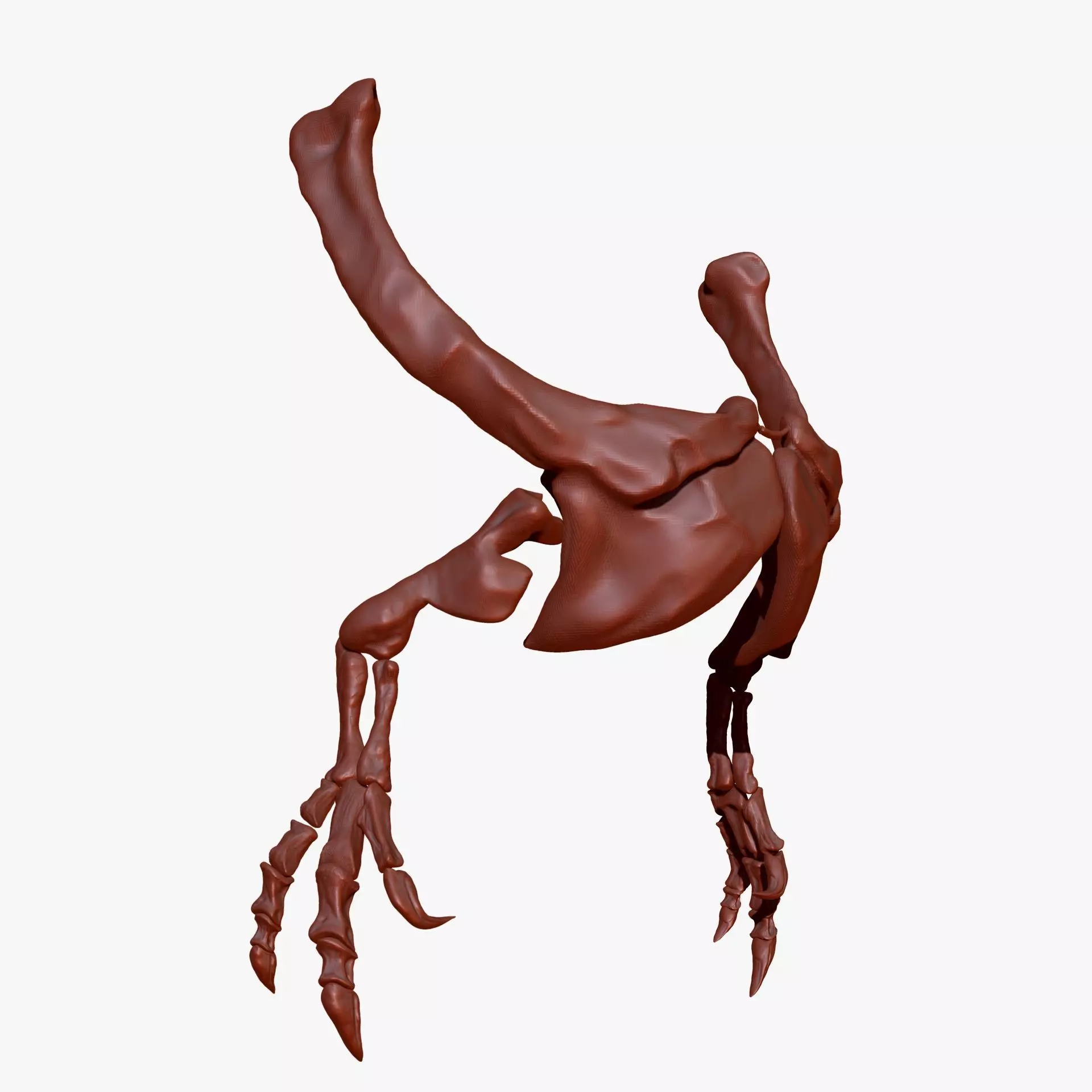 Dinosaur Giganotosaurus Arm Set 3D model_0