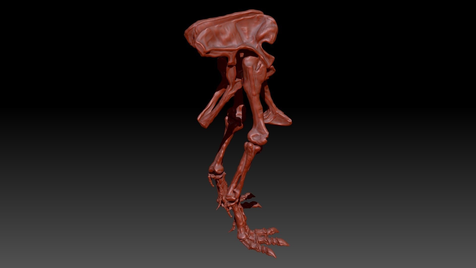 Dinosaur Giganotosaurus Hip Leg Set Skeletons 3D model_4