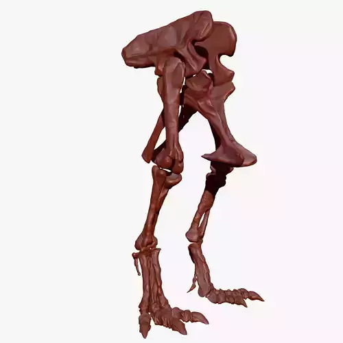 Giganotosaurus Hip Leg Set Skeletons 3D model