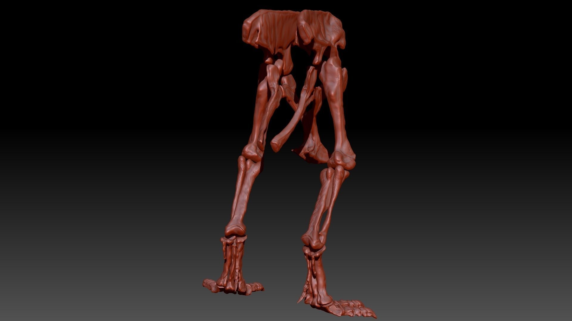 Dinosaur Giganotosaurus Hip Leg Set Skeletons 3D model_5