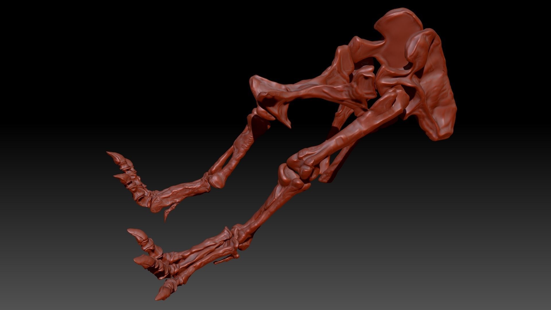 Dinosaur Giganotosaurus Hip Leg Set Skeletons 3D model_3