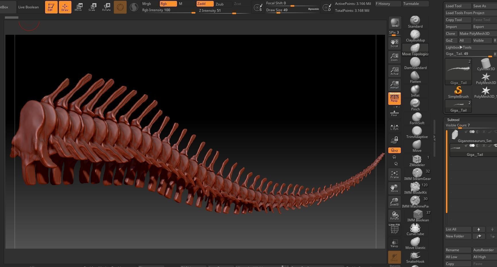Dinosaur Giganotosaurus Tail Set Skeletons 3D model_6