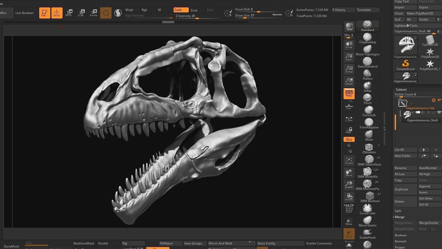 Giganotosaurus Skull Set Skeletons 3D model_5