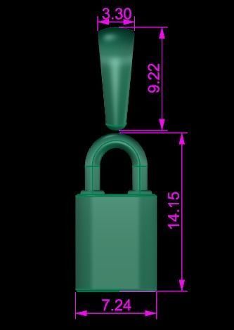 Dainty Lock Pendant 3D print model_4