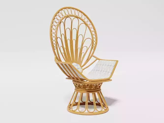 Rattan peacock chair
