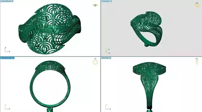 fizyon ring 1 3D print model