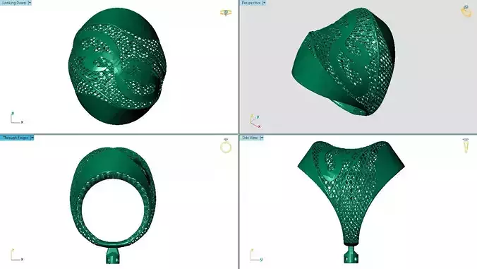 fizyon ring 2 3D print model