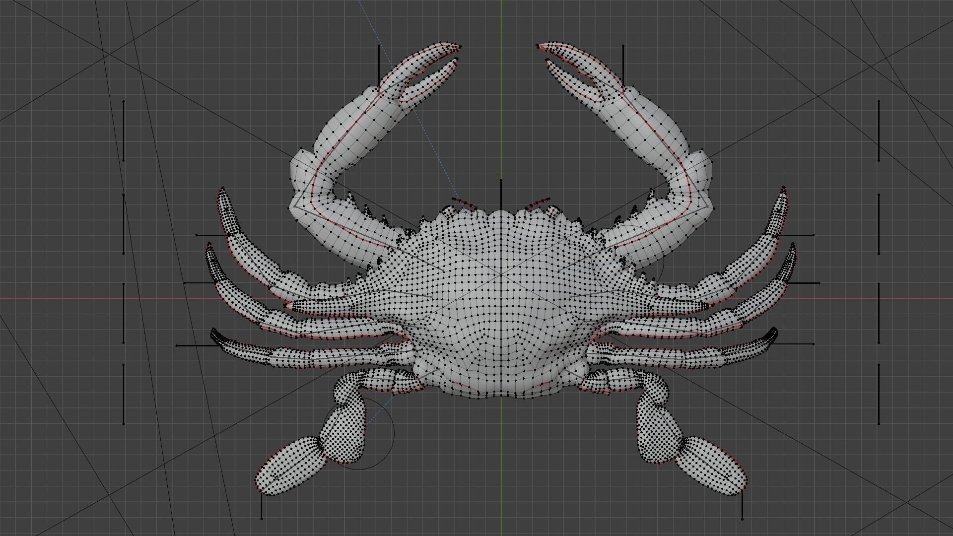 Blue Crab 3D model_7