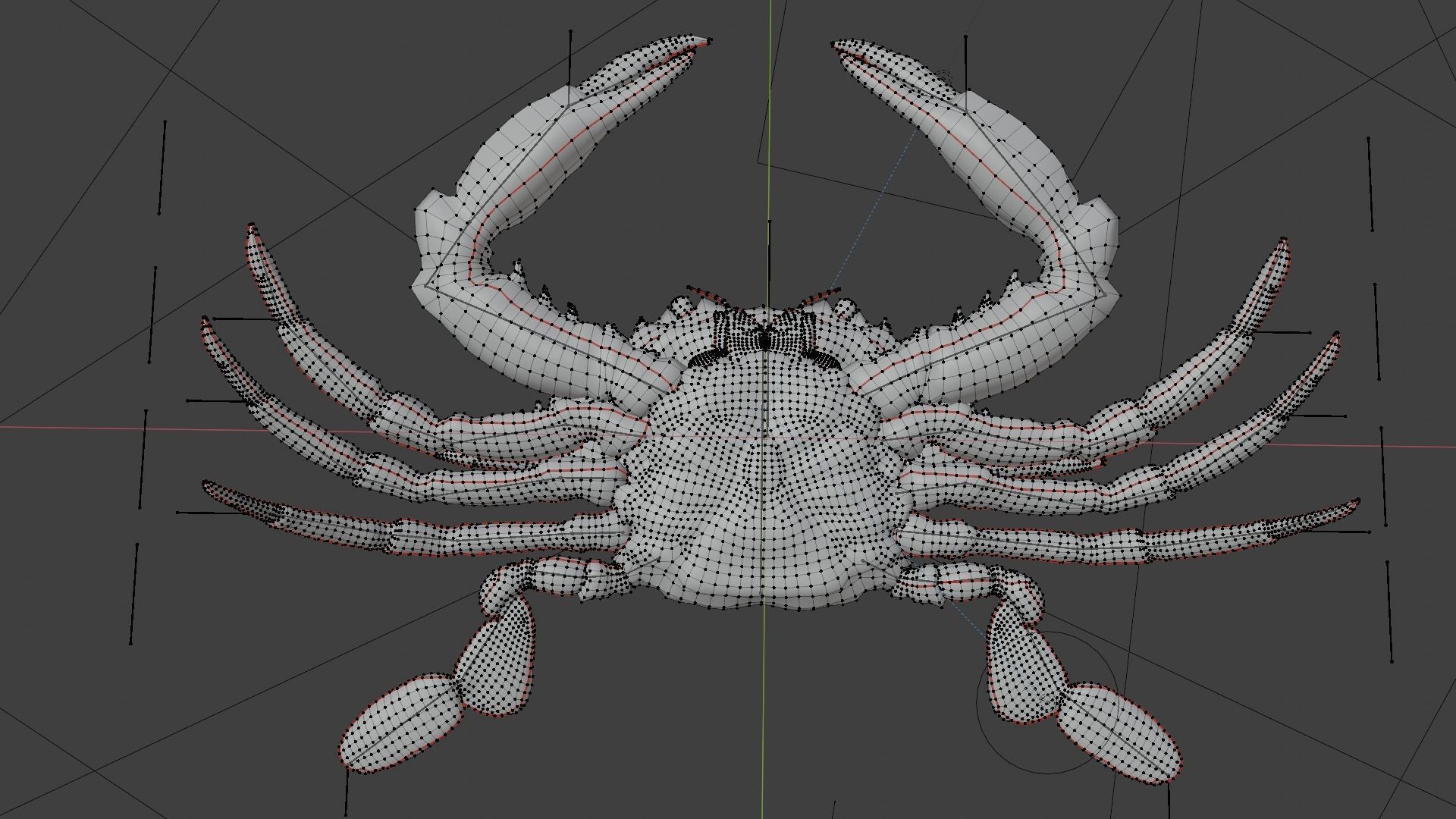 Blue Crab 3D model_6